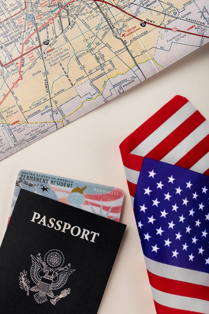 The Benefits of Hiring an Immigration Consultant for Your Visa Application